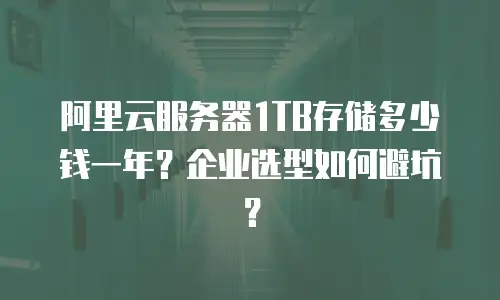 阿里云服务器1TB存储多少钱一年？企业选型如何避坑？