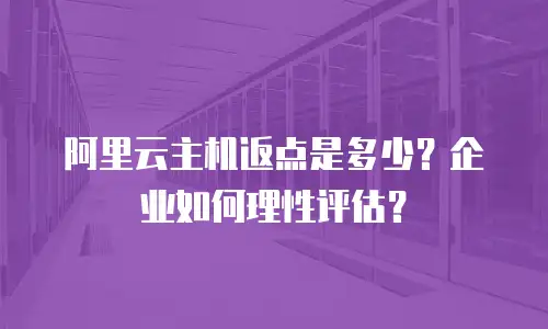 阿里云主机返点是多少？企业如何理性评估？