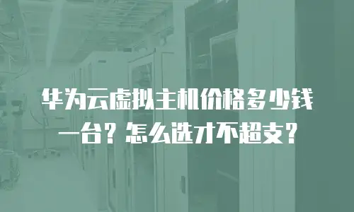 华为云虚拟主机价格多少钱一台？怎么选才不超支？