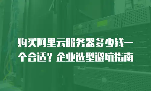 购买阿里云服务器多少钱一个合适？企业选型避坑指南