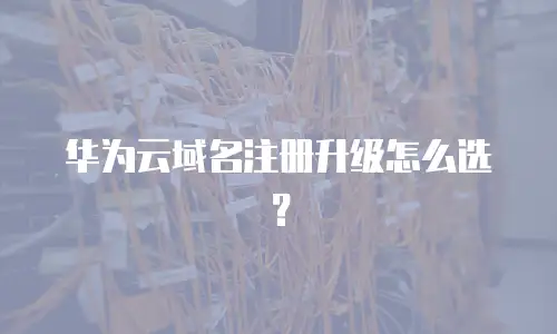 华为云域名注册升级怎么选？