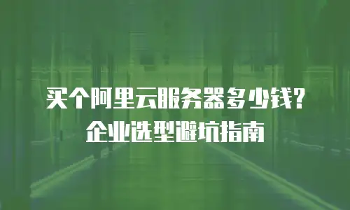 买个阿里云服务器多少钱？企业选型避坑指南