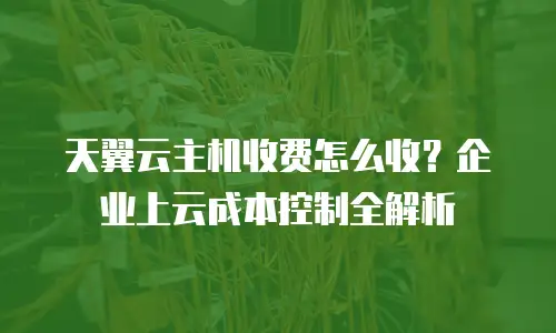 天翼云主机收费怎么收？企业上云成本控制全解析