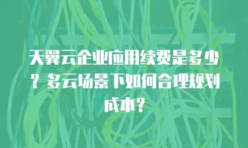 天翼云企业应用续费是多少？多云场景下如何合理规划成本？