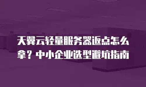 天翼云轻量服务器返点怎么拿？中小企业选型避坑指南
