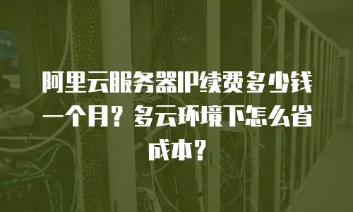 阿里云服务器IP续费多少钱一个月？多云环境下怎么省成本？