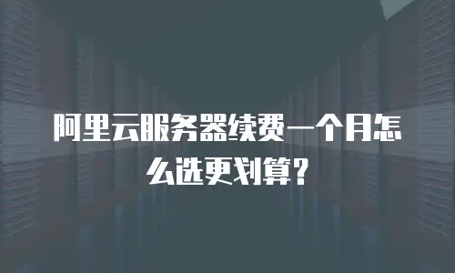阿里云服务器续费一个月怎么选更划算？