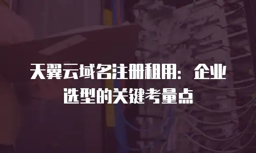 天翼云域名注册租用：企业选型的关键考量点