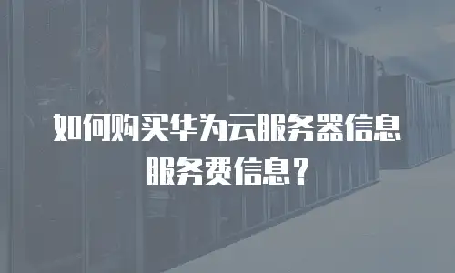 如何购买华为云服务器信息服务费信息？