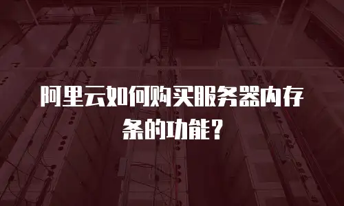 阿里云如何购买服务器内存条的功能？