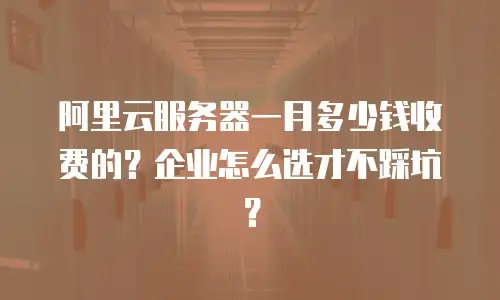 阿里云服务器一月多少钱收费的？企业怎么选才不踩坑？