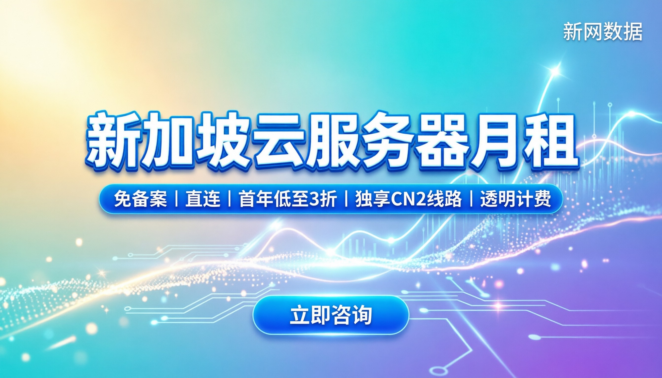 新加坡云服务器月租多少:按核数与带宽算账单
